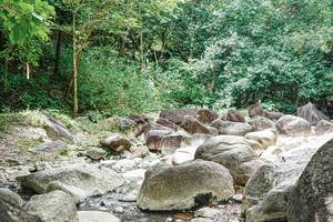 BIB: 
                            <button type="button" onclick="openModal(25120026)" class="btn btn-primary btn-sm float-right btn-popup" data-toggle="modal" data-target=".modal-high-quality">
                        <i class="fas fa-shopping-cart"></i> Add to Cart
                    </button>
                                            <button type="button" onclick="isThisMe(25120026, true)" class="btn btn-success btn-sm float-right btn-popup btn-isme hidden" data-toggle="tooltip" data-placement="bottom" title="นี่คือรูปของคุณใช่ไหม คลิกที่นี่เพื่อเอาเข้าอัลบั้ม">
                        <i class="fas fa-plus"></i> Add to album
                    </button>
                    <button type="button" onclick="isThisMe(25120026, false)" class="btn btn-warning btn-sm float-right btn-popup btn-isnotme hidden">
                        <i class="fas fa-ban"></i> Remove from album
                    </button>